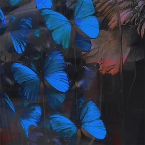 国产成人美女视频网站
