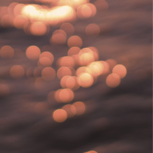 国产成人美女视频网站
